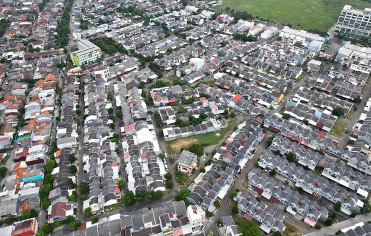 Foto Aerial Primrose — Cluster Primrose
